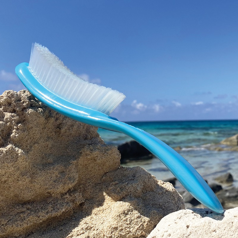 Brosse BLEU CURACAO