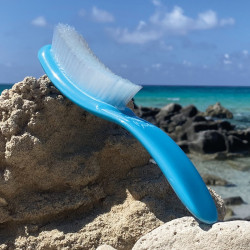 Brosse BLEU CURACAO