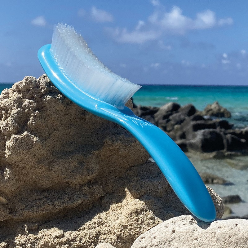 Brosse BLEU CURACAO