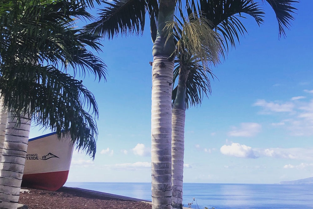 tenerife-plage-canaries